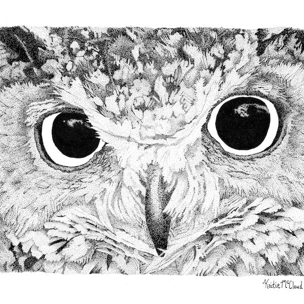 Owl Pen and Ink Drawing Black and White Stippling art prints by Kaitlin McCloud