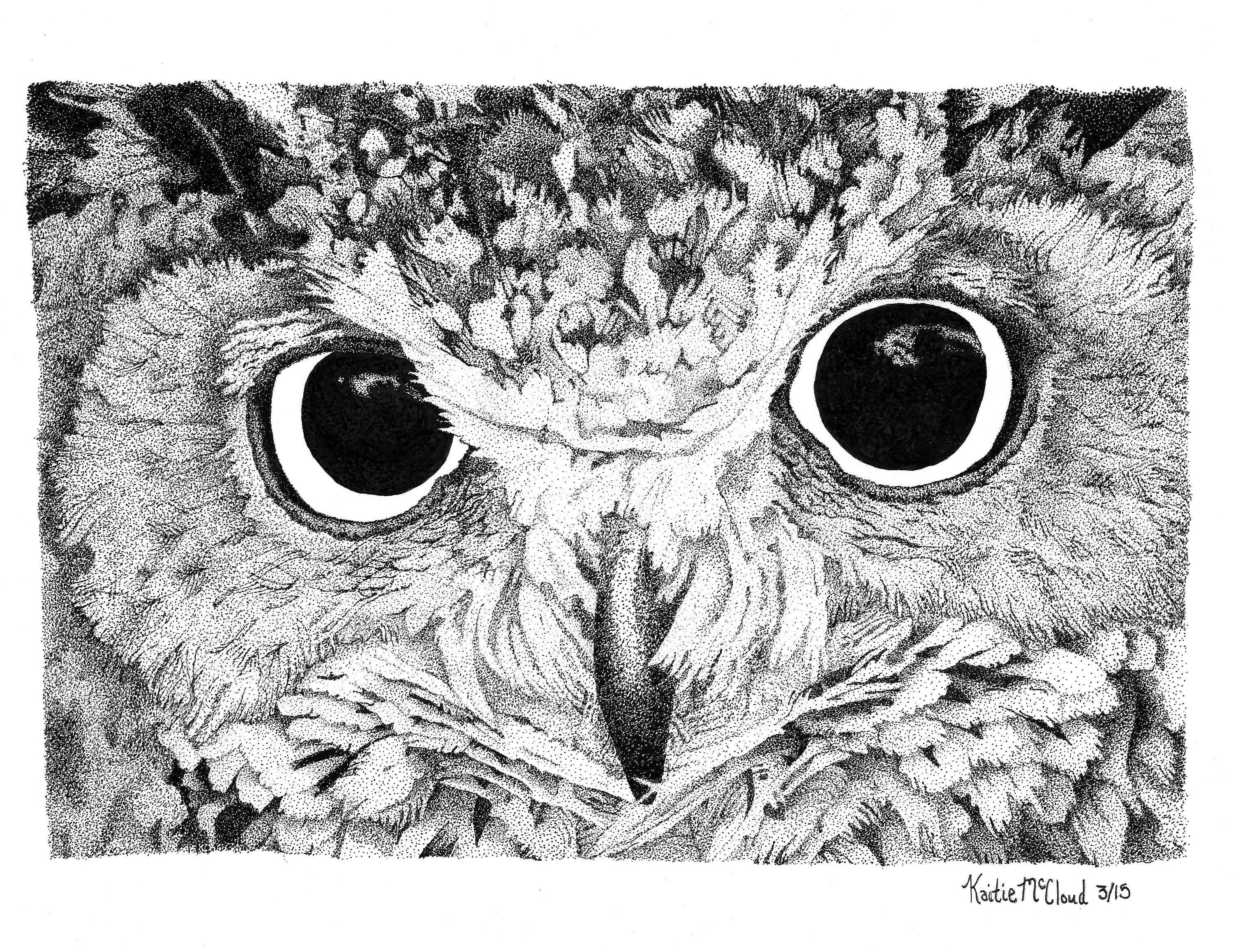 Owl Pen and Ink Drawing Black and White Stippling art prints by Kaitlin McCloud