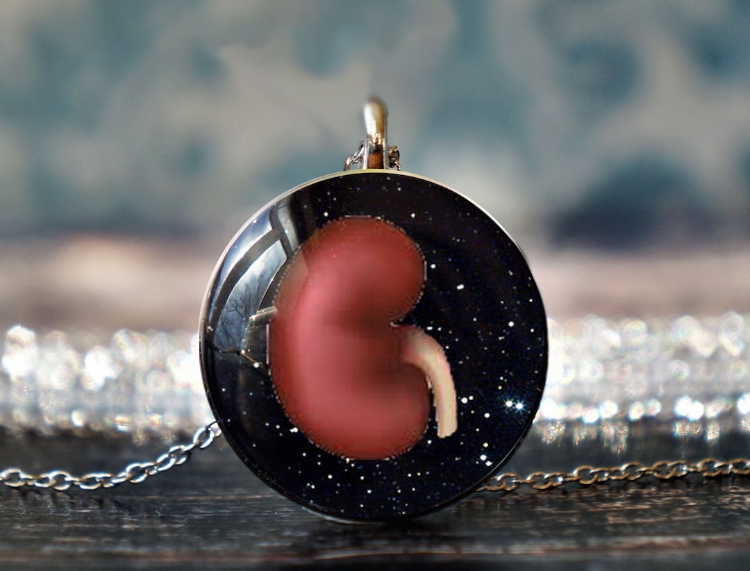 Kidney Jewelry , Kidney Donor Gift , Transplant Jewelry , Transplant Necklace , Kidney Pendant