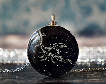 joyas de escorpión, colgante de escorpión, amuleto de escorpión, joyas de insectos, regalo de escorpión