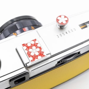 以下が含まれることがあります： 黄色い革のグリップが付いたシルバーのカメラのクローズアップ。フラッシュマウントとシャッターボタンには赤と白の花柄のデザインが施されています。シリアル番号3054800がカメラ本体に印刷されています。