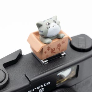 Custom Grey Cat Japan Kitten in a Box Hot Shoe Cover, Unique Camera, Gift for Photographer, Customizable Camera Accessories
