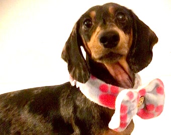 dachshund bow tie