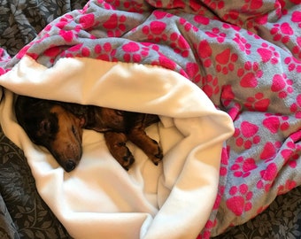 dog snuggle sack carrier