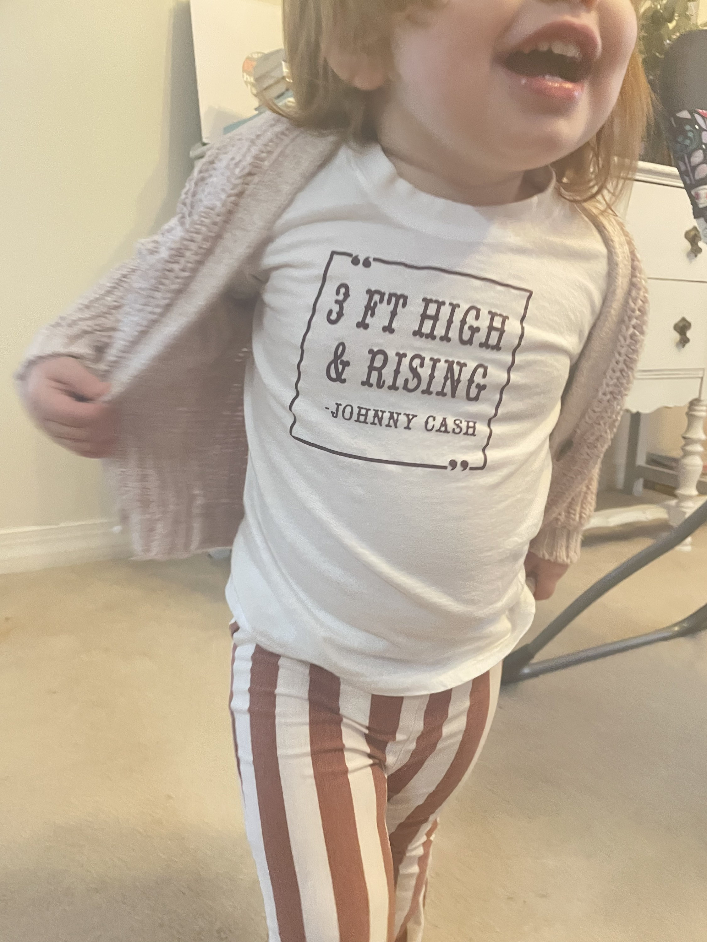 3 feet high and rising t shirt
