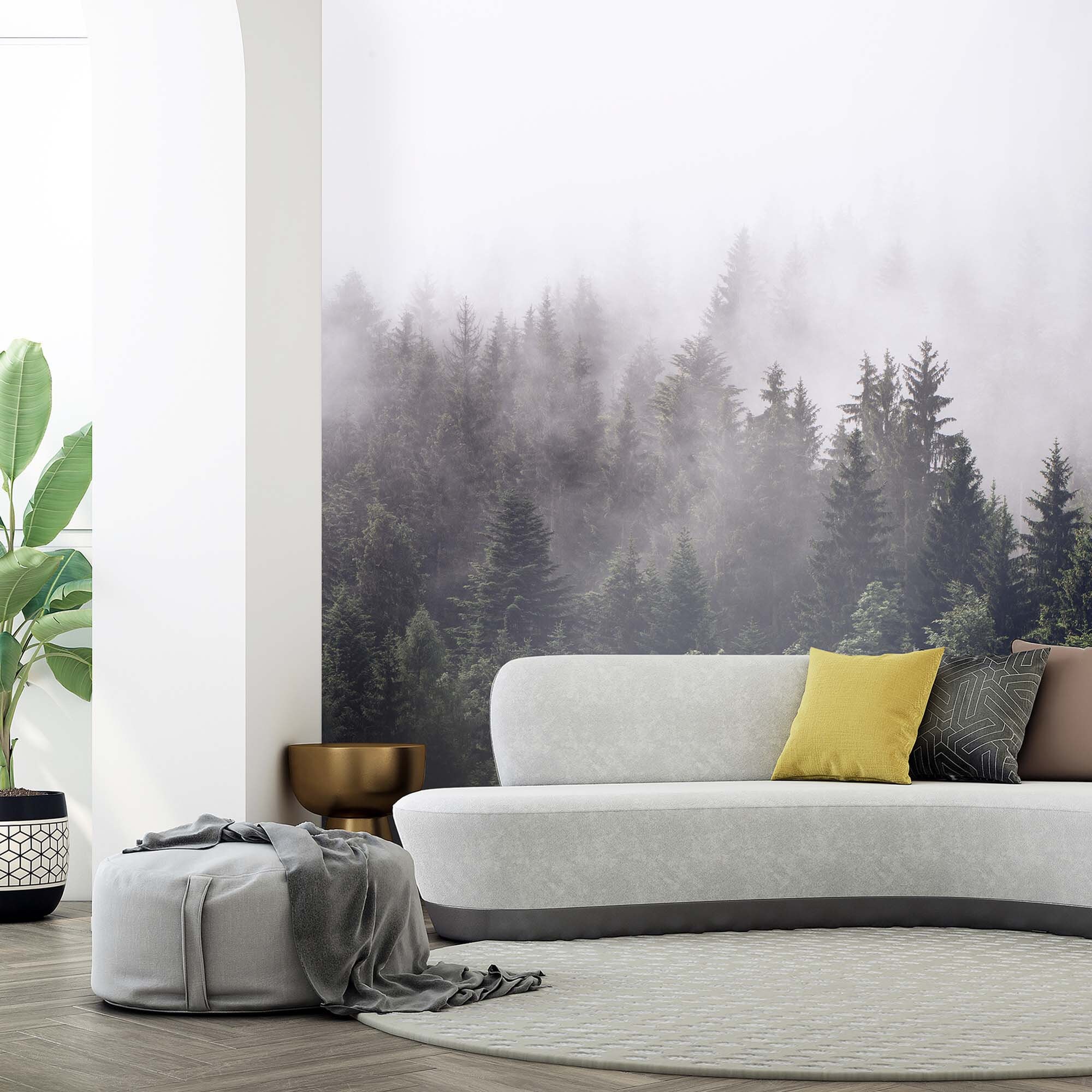 Misty Forest Wall Mural / Low Clouds / Pine Trees / Mountain Slope ...