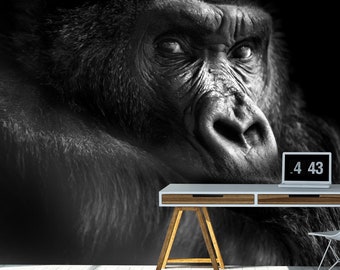 Gorilla wall mural / close-up / portrait in black and white / dominant male / wild animal / primates
