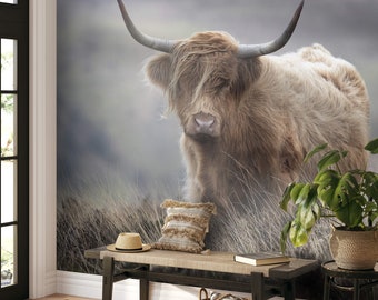 Highland cow wall mural / wildlife photography / nature landscape / country vibe
