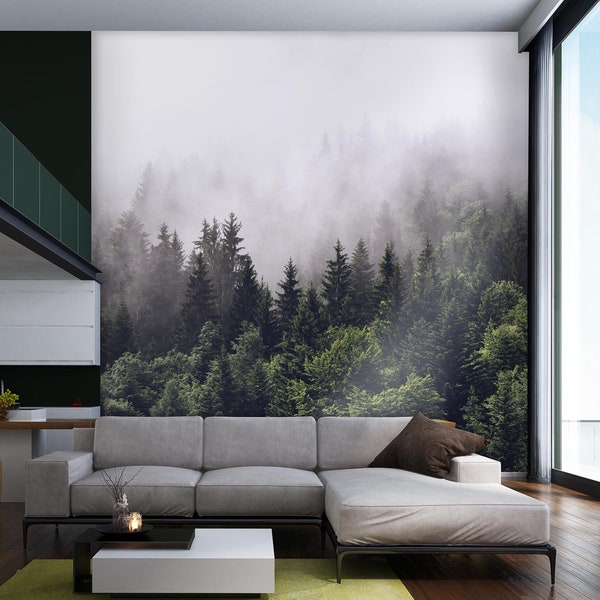 Misty forest wall mural / low clouds / pine trees / mountain slope / morning fog / mysterious wood