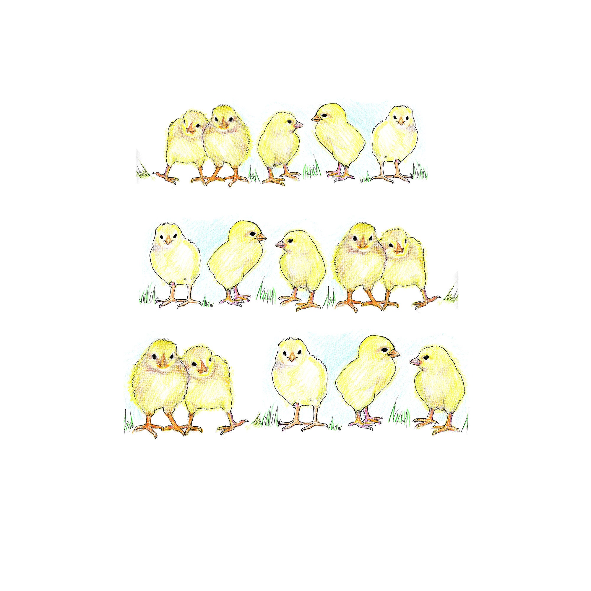 A Peep of Chicks 100% Cotton 27x27 Hand Illustrated | Etsy