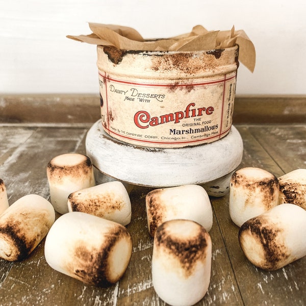 Mini Campfire Marshmallows Tin with Faux Marshmallows, Vintage Reproduction, S’mores Tiered Tray, Faux Food Decor