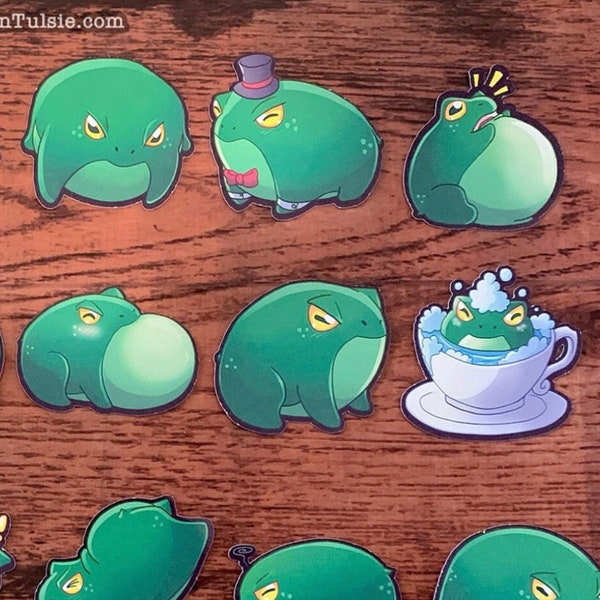 Cute Frog Stickers: Pudge the Frog Sticker Set, Adorable Frog Stickers, Cartoon Frog Stickers, Round Frog Stickers, Rain Frog Stickers