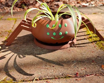 Happy Spider Planter