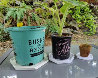 Drain Tray for planters | Assorted Sizes and Colors | Twisted