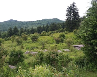 one-question reading