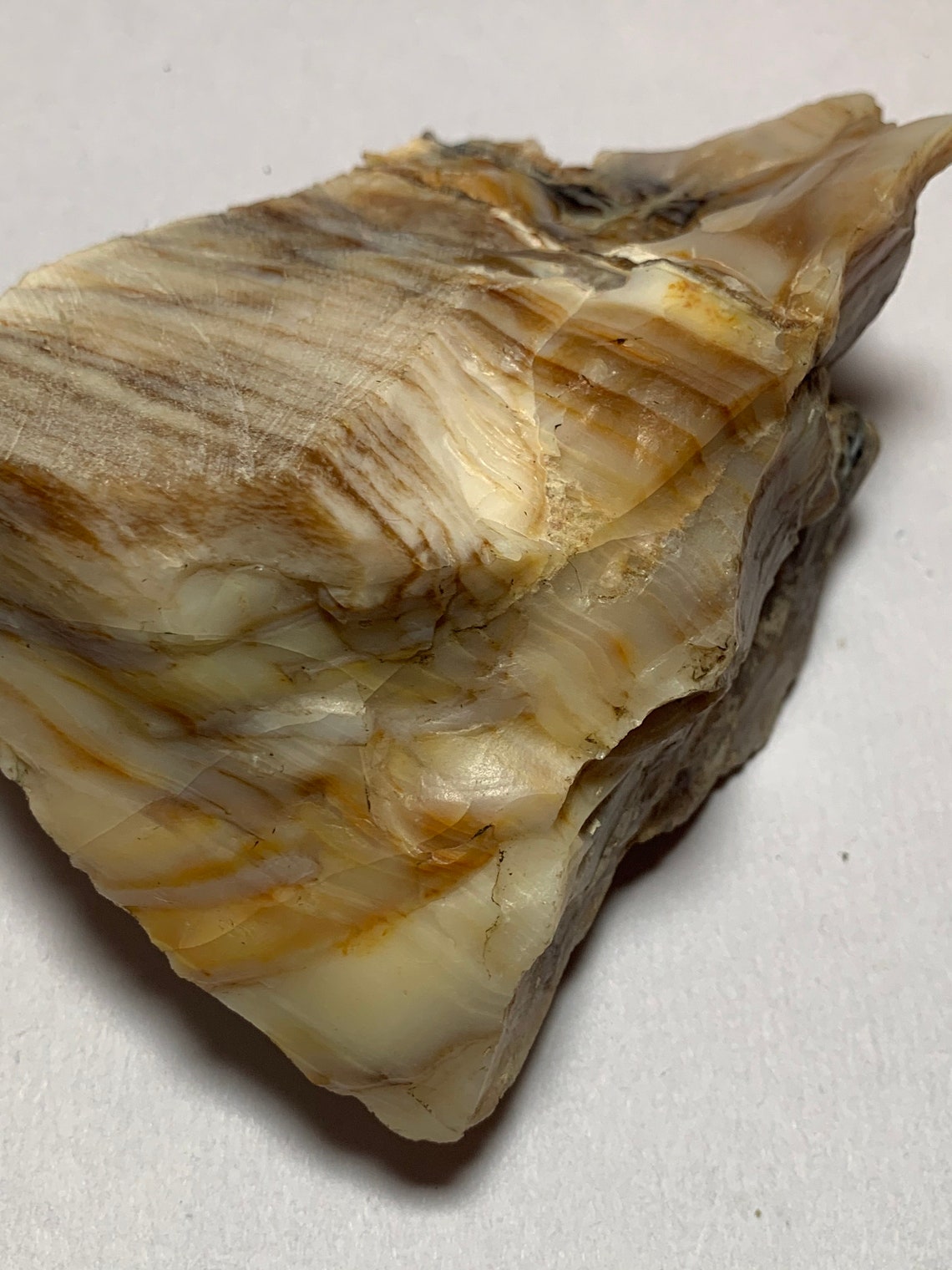 Rare Opalized Petrified Wood from Oregon 406g Rough/Raw Old Etsy