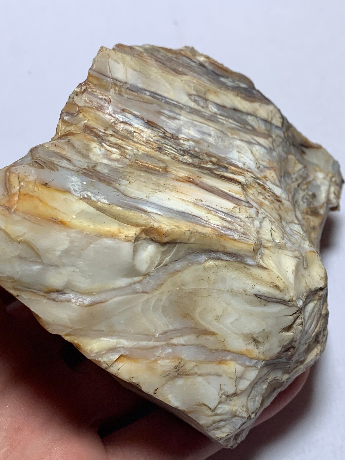 Rare Opalized Petrified Wood from Oregon 406g Rough/Raw Old Etsy