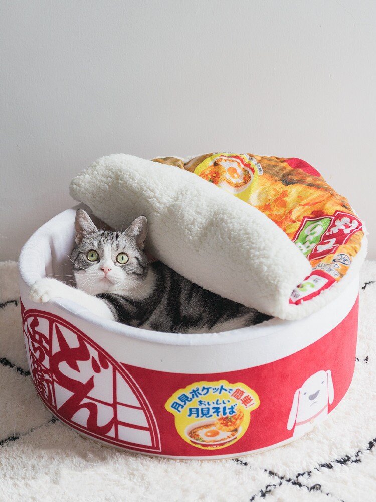 Cat Bed Dog Bed Instant Noodles Ramen Bowl Ramen Noodles Etsy