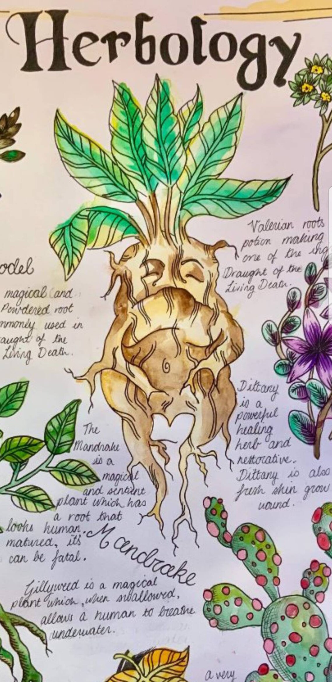 Herbology Harry Potter Artistic Print Hogwarts Mandrake | Etsy
