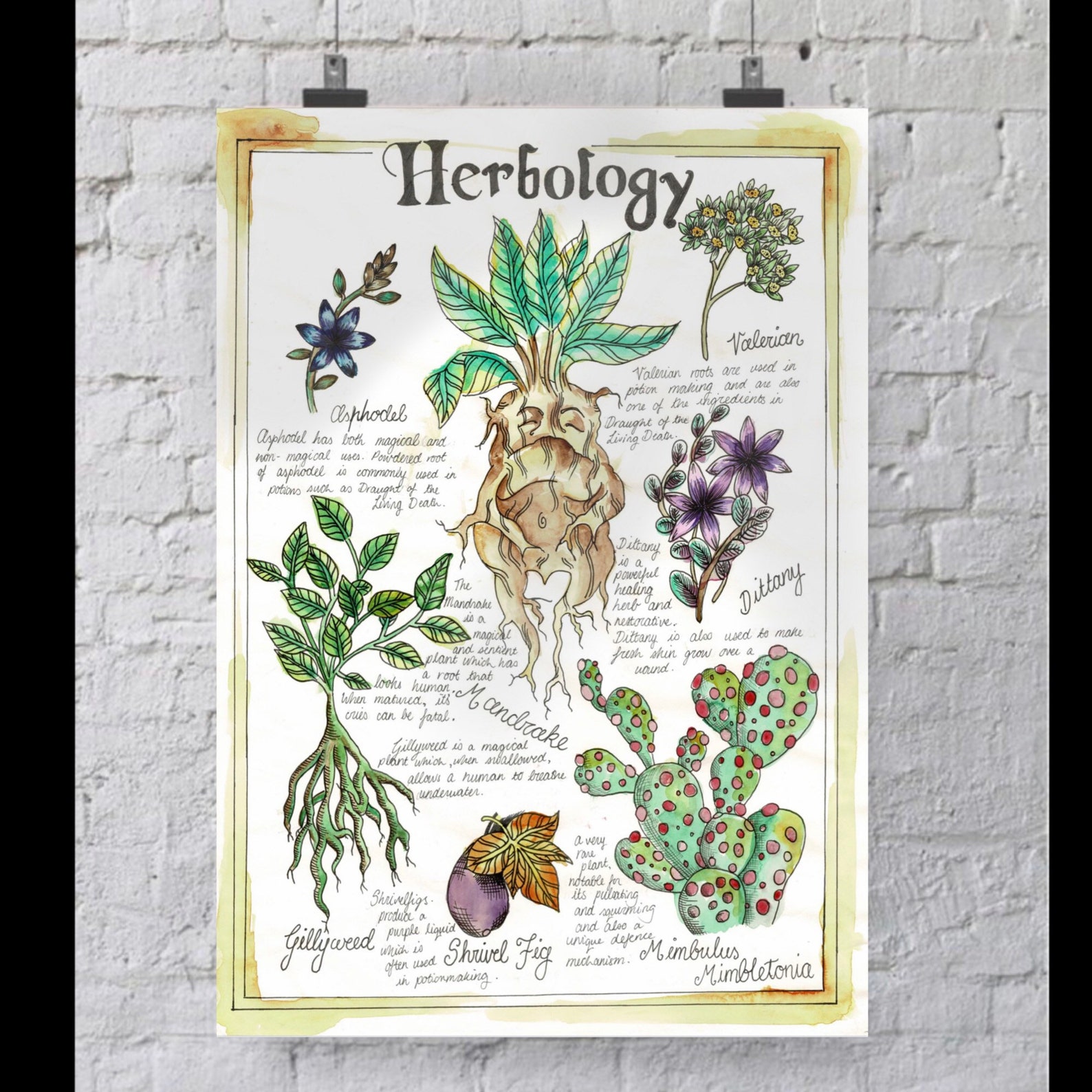 Herbology Harry Potter Artistic Print Hogwarts Mandrake | Etsy