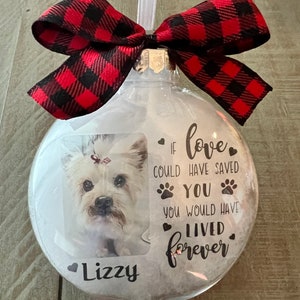 Pet Memorial Christmas ornament. Floating ornament. Lost loved ones, Remembrance ornament. If love could have saved you