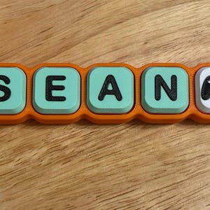 May include: A rectangular orange keychain featuring five square blocks. Four light green blocks display the black letters S, E, A, and N. The fifth block is white and features a black graphic of a video game controller. A metal ring is attached.