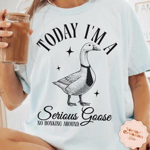 Oggi sono un'oca seria PNG, Sono un'oca seria SVG, Maglietta d'oca vintage, Oca sarcastica SVG, Maglietta divertente e sciocca, Maglietta vintage divertente Png