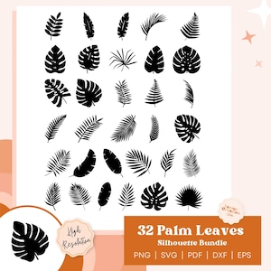 Feuilles tropicales Svg, lot de feuilles de palmier, silhouettes de feuilles tropicales, lot de feuilles tropicales, feuilles tropicales couper fichiers, fichier Cricut