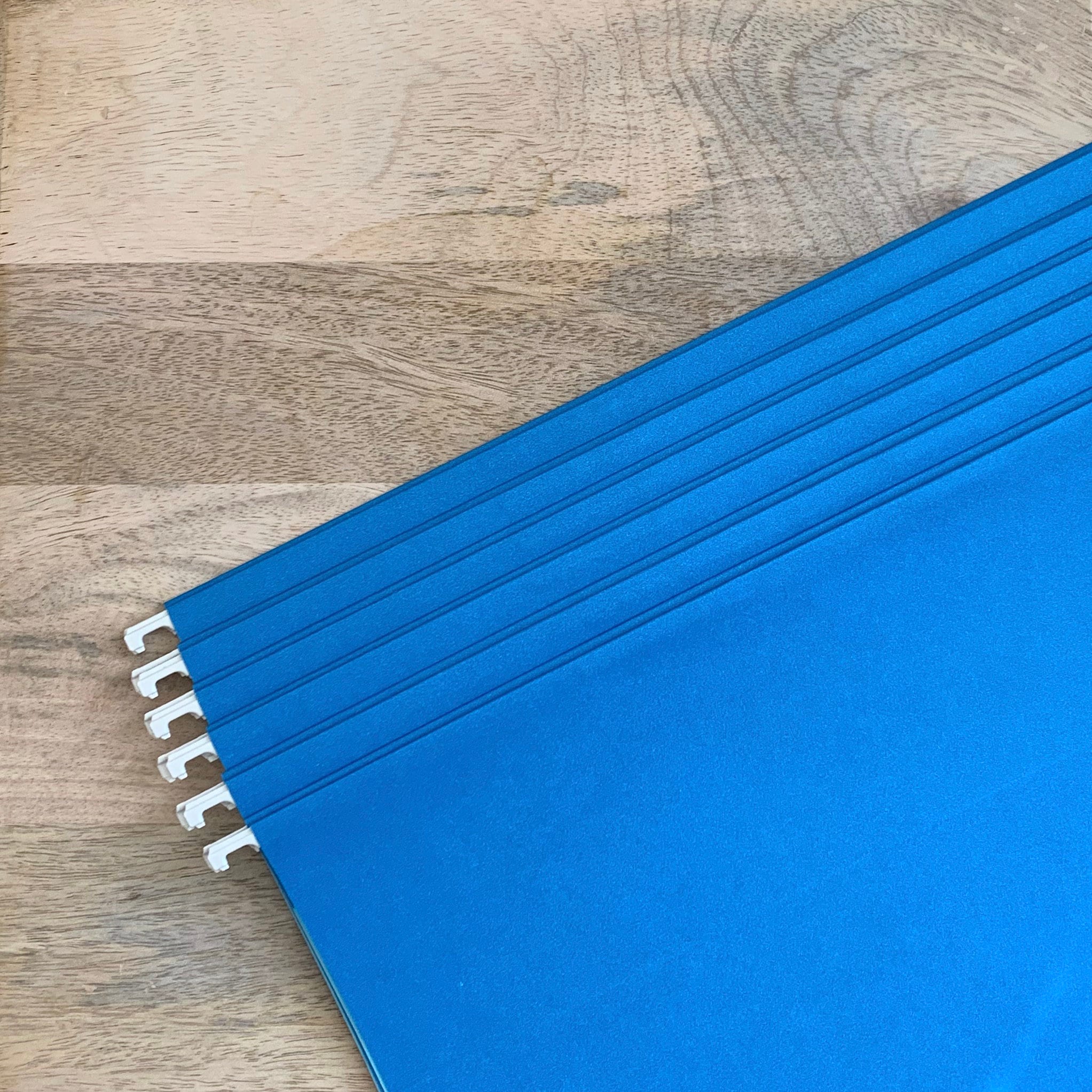 Hanging File Folders Individual Without Tabs Etsy Canada