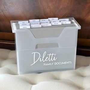 May include: A translucent plastic file box with white text reading "Diletti FAMILY DOCUMENTS" on the front. The box contains multiple hanging file folders with white labels including "TAXES," "INSURANCE," "BANKING," "WATER," and "RETIREMENT."