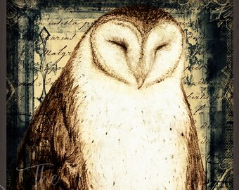 Mr. Owl Art Print: Steampunk Barn Owl, Victorian Library Decor