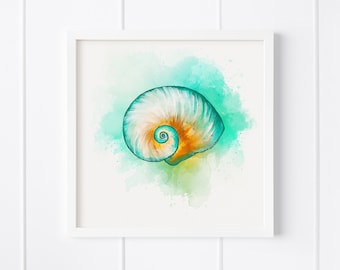 Spiral Seashell Print | Original Watercolor Art Print