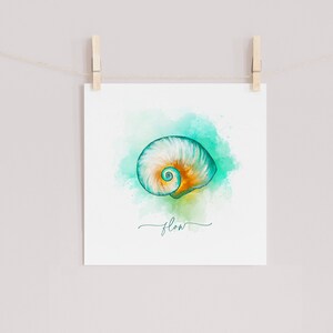 Flow Spiral Seashell Print Original Watercolor Art Print image 3