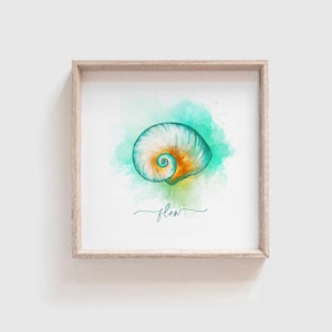 Flow Spiral Seashell Print Original Watercolor Art Print image 4