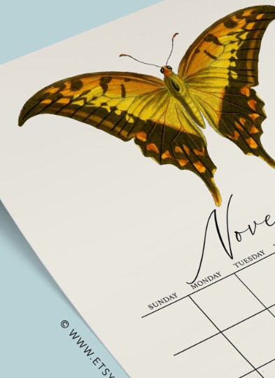 Undated Butterfly Calendar Printable Calendar Desktop - Etsy