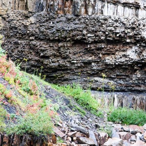 May include: A close-up of a rocky cliff face with layers of dark gray and light gray rock. The cliff face is covered in green vegetation and small yellow flowers.