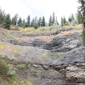 May include: A rocky cliff face with a layered texture, covered in green vegetation and trees. The cliff face is a dark gray color and the vegetation is a light green color.