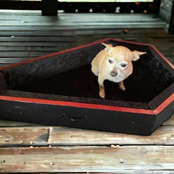 Coffin Cat Bed Etsy