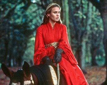 the princess bride dress