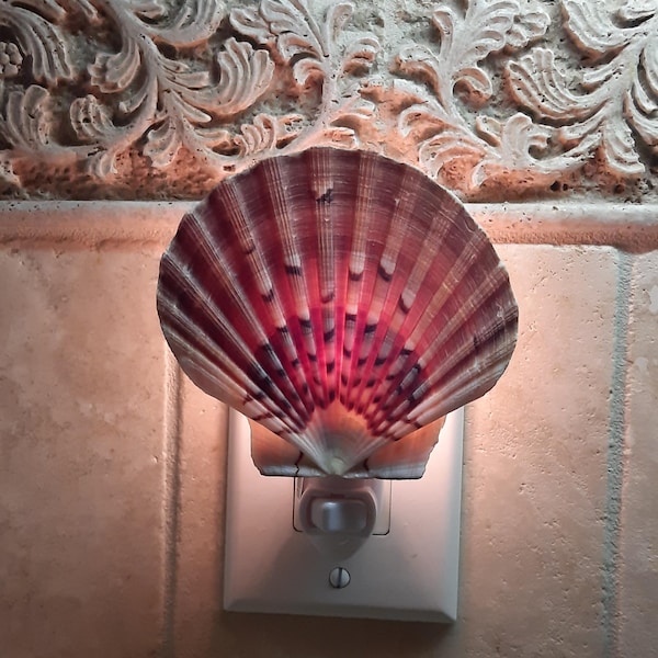 Tidal Glow Nightlight