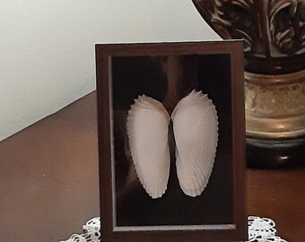 Seaside Shadow Box