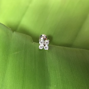 Orecchini floreali, Cartilagine Orecchino Elica Orecchino Elica Piercing Cartilagine Cartilagine Piercing