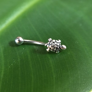 16g 8mm Lovely tortoise eyebrow,Eyebrow ring,rook barbell, body piercing jewelry,rook earrings, Curved Barbell Jewelry - cartilage earring