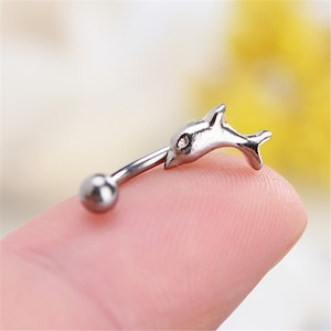 dolphin eyebrow,Eyebrow ring, rook barbell, body piercing jewelry,rook earrings, Eyebrow Curved Barbell Jewelry - cartilage earring 16g