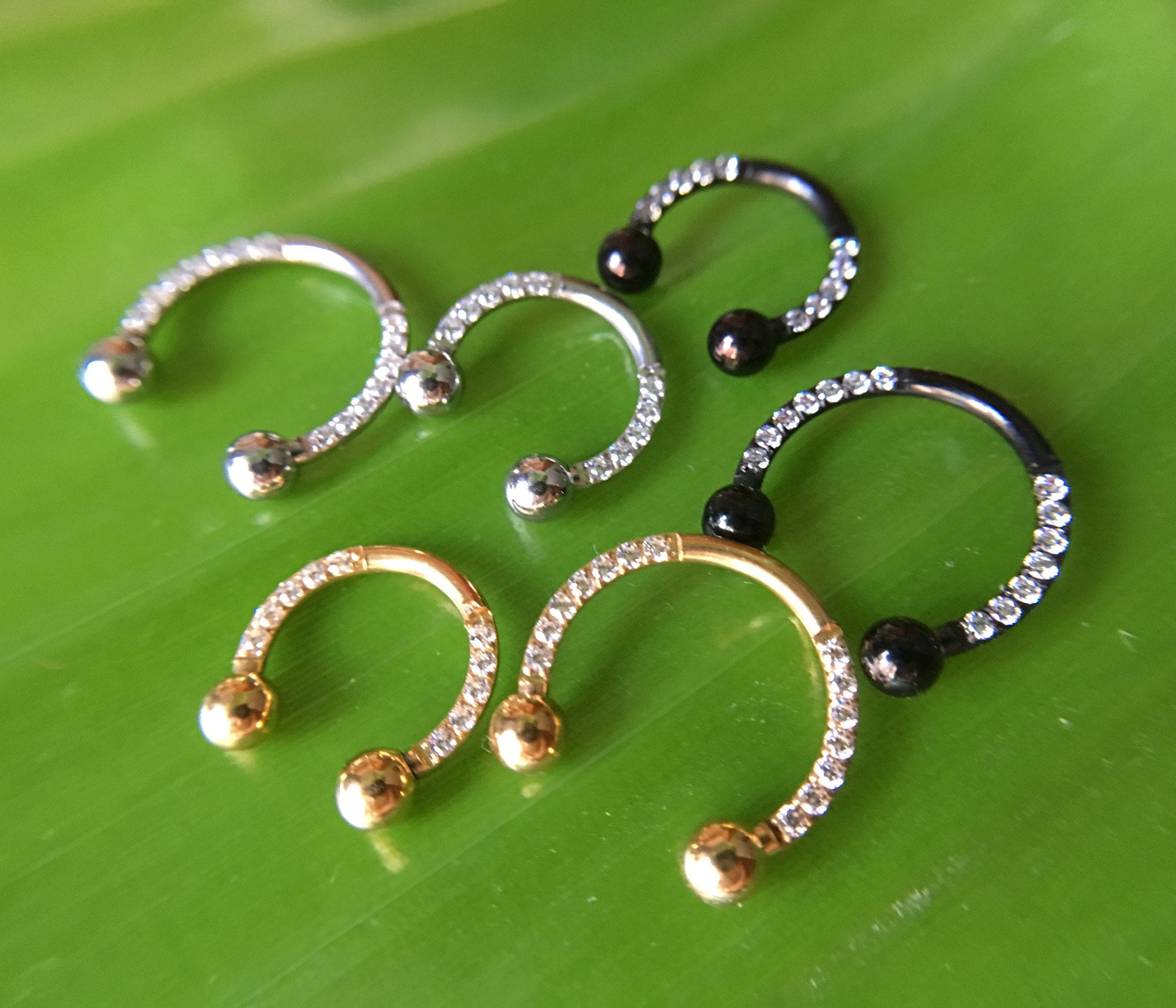 Buy Septum Horseshoe 20g Online In India Etsy India