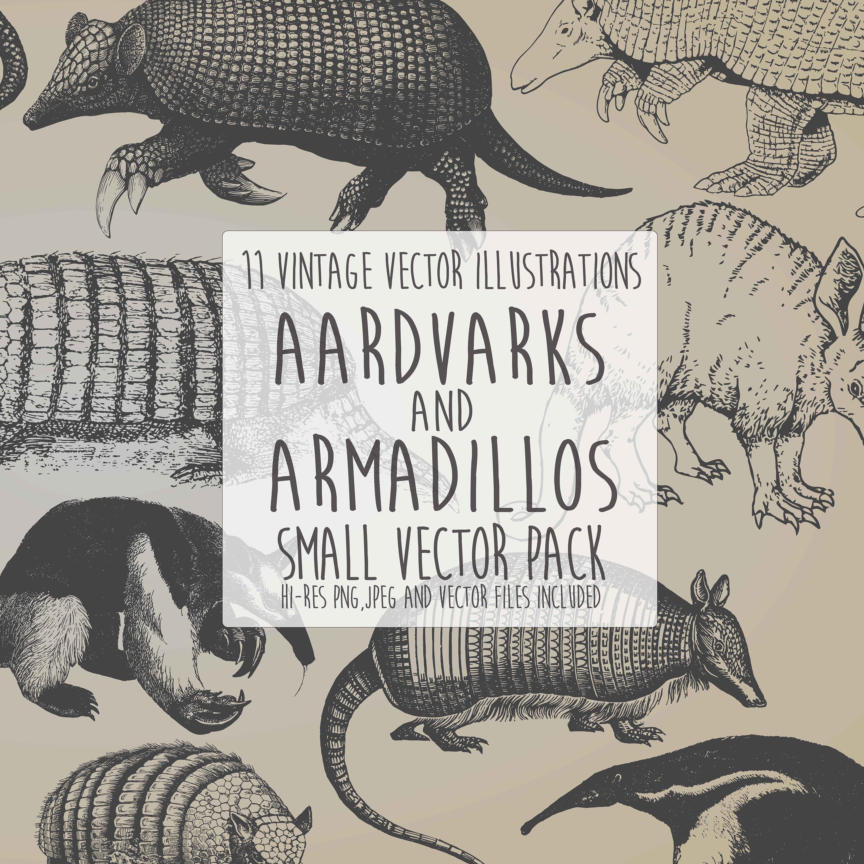 Aardvarks and Armadillos Small Hand Drawn Illustration Clipart - Etsy