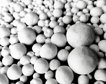 Escultura de pared de arcilla esférica: arte en blanco y negro en 3D similar a burbujas.