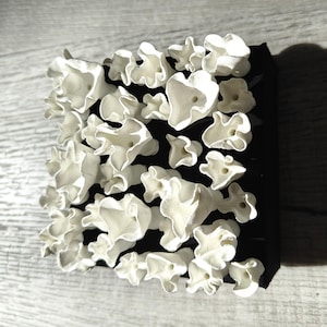 May include: White ceramic wall art with a 3D design of many small, flower-like shapes arranged in a grid pattern. The shapes are all white and have a slightly textured surface.