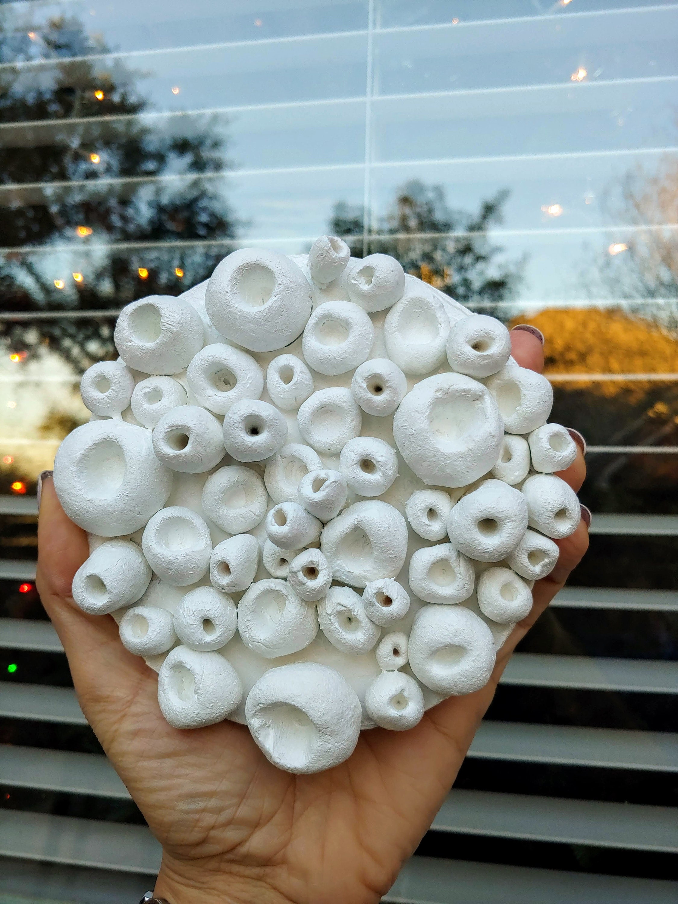 Coral Wall Sculpture White Clay Wall Art 3D Artwork Etsy