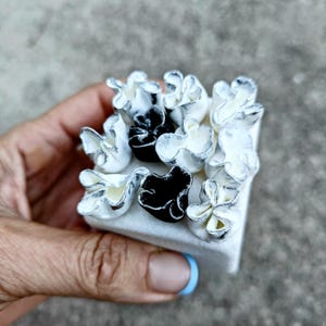 May include: A white square box with black and white flower-shaped embellishments. The box is held in a hand.